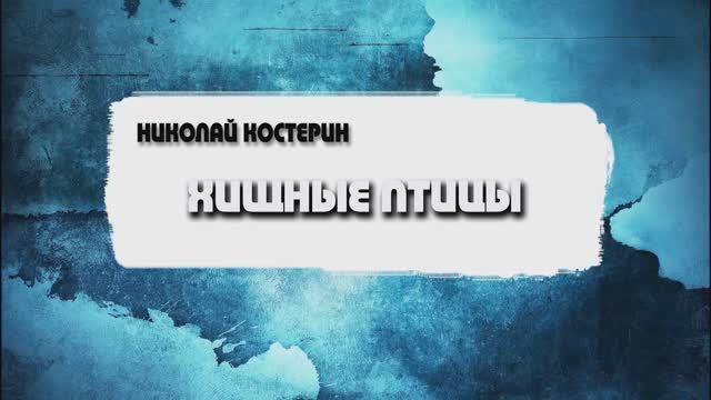 Николай Костерин - Хищные птицы (12.01.2025)