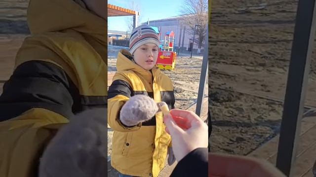 Спонтанное обучение