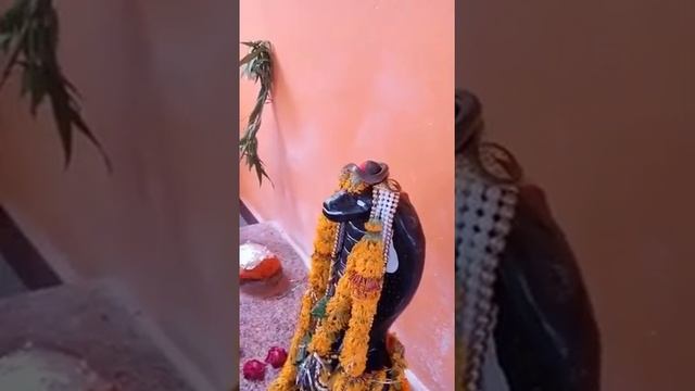 🙏jay shree mahakal 🙏