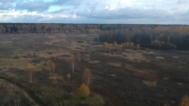 Медведево 21.10.2017 14:30