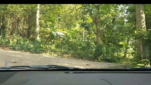 WE REVIEW | Access  Road | To  Nature Lovers' Resort | Horana | Srilanka