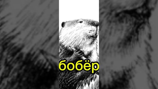 lv_0_20250103231156.mp4