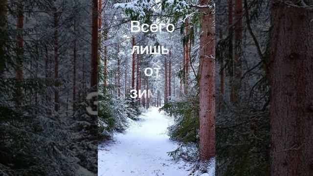 Зимний привет.Стих.