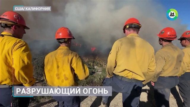 Лос-Анджелес в огне. Пламя уничтожает жилые районы, дома догорают дотла один за одним