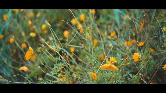 MT. KULIS l TANAY ( CINEMATIC A7sii)