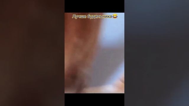 ПОДБОРКА ПРИКОЛОВ