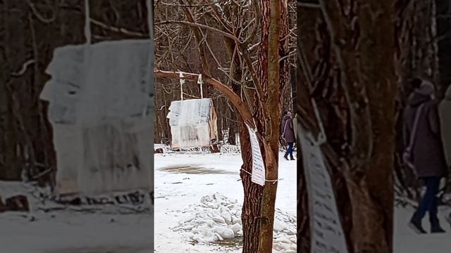 Лесопарковые птицы и синицы склевали одну из мясных подкормок для птиц