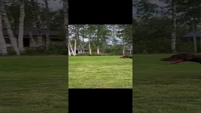 16_7a2f5e54