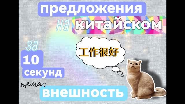 Внешность