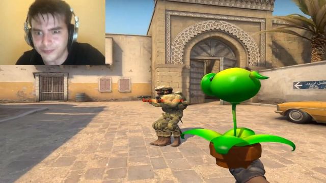 plants vs zombies in cs go