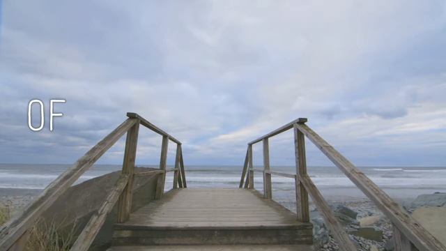 Surf in Halifax