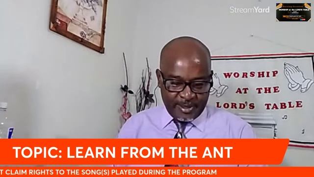 LEARN FROM THE ANT