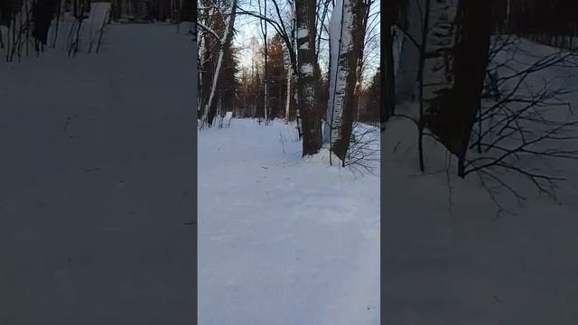 VID-20250112-WA0009