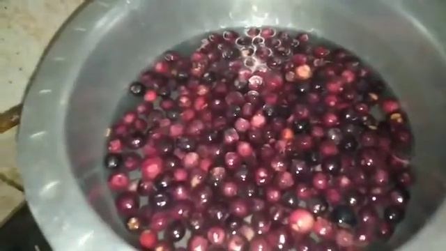 Taste Falsa juice// recipe false Ka sharbat// by tofique with cooking 😋