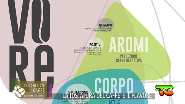 Il mondo del caffè: la TOSTATURA del caffè e il FLAVORE 10.06.2022