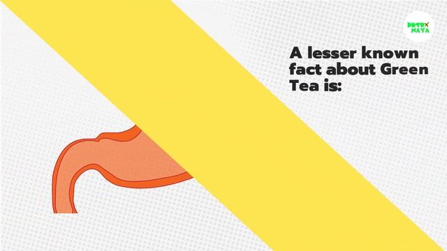 Everything You Should Know About Green Tea | Detox Maya