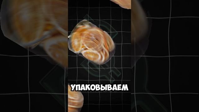 Мой тг в описании профиля!! #заработок #легкиеденьги #деньги #какзаработать #легкийзаработок #темки