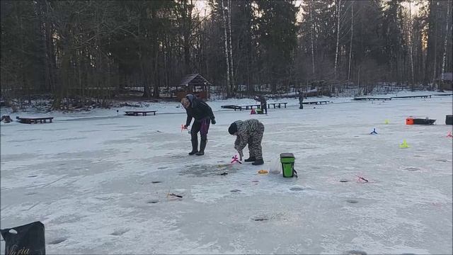 Работаем в полях. Верхний пруд. Клёвое место Лосиный остров.