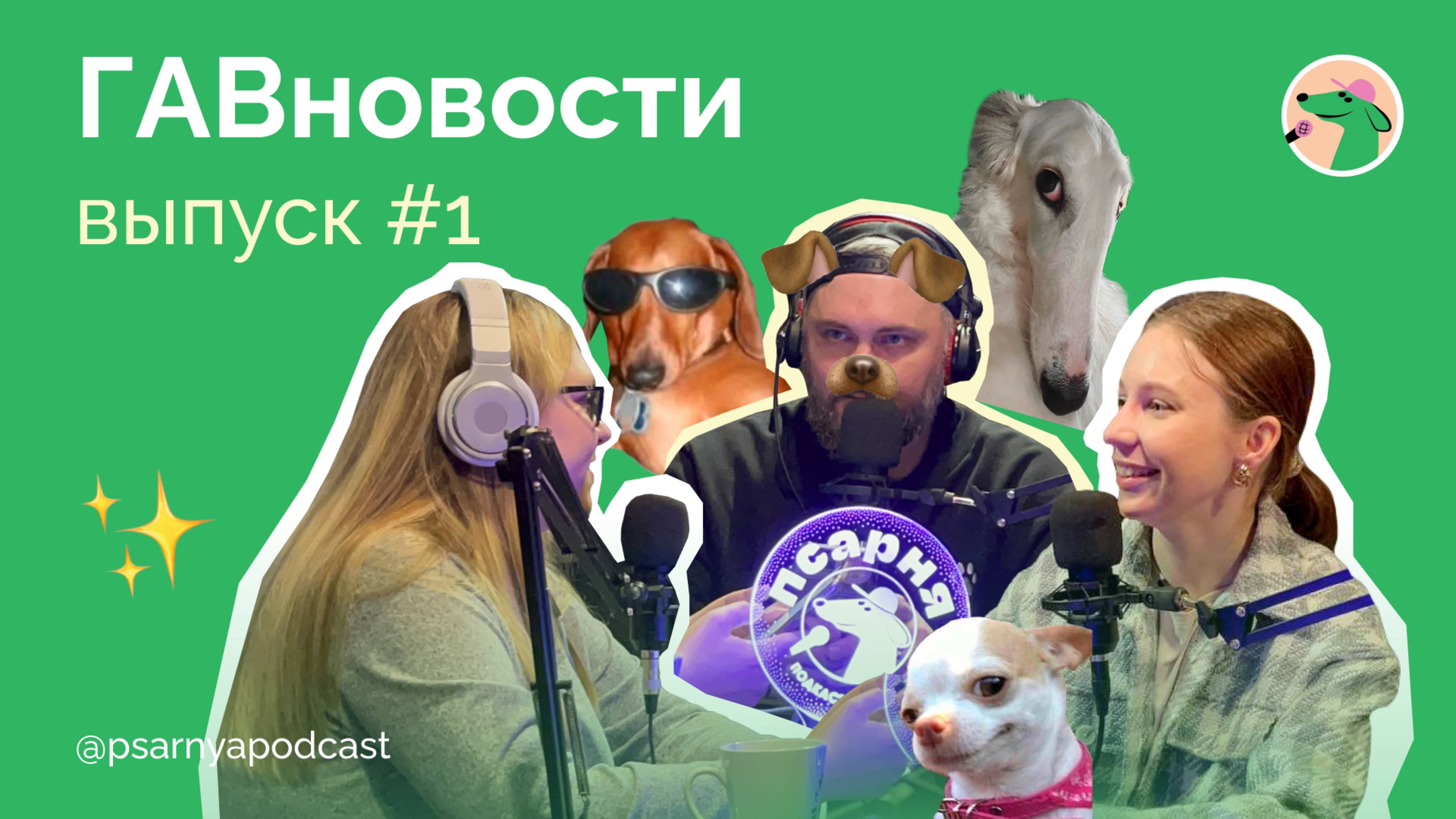 ГАВновости: самые горячие темы из собачьего мира 🐾 Выпуск №1