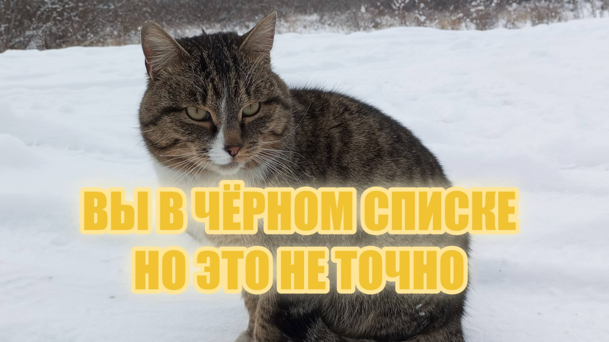 Вы_в_чёрном_списке