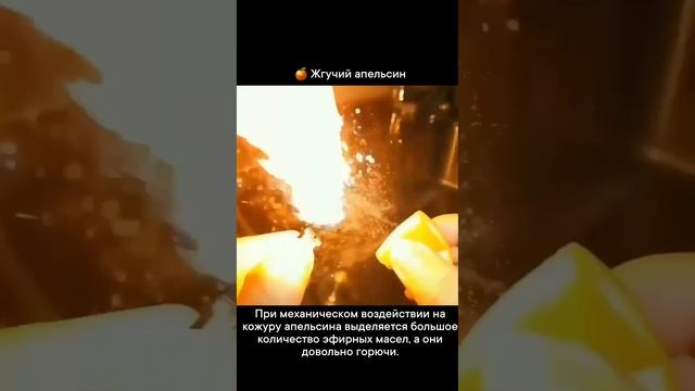 #тренд #рекомендации #рекомендую #рек #топ #аи #ai  (525)