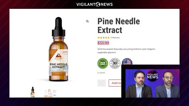 The Amazing Healing Power of Pine Needles, REDISCOVERED | Lance Schuttler of Ascent Nutrition