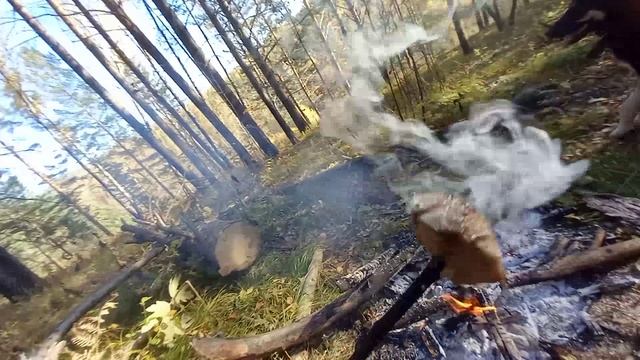Вайбовый видос из осеннего леса