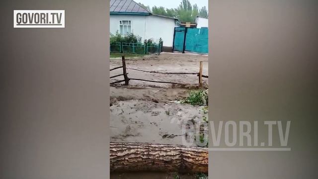 Бурма-Сууда жүргөн сел картошка талааларын алып кетти
