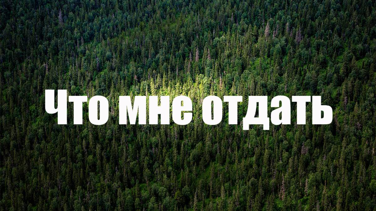 Что мне отдать