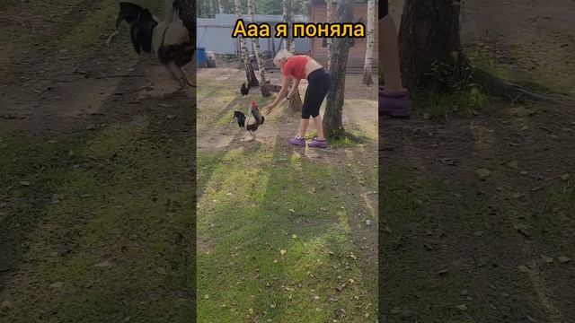 Яйца где?  #шортс #юмор #женскийюмор #жиза