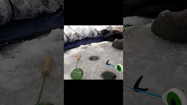 Подписка приветствуется)