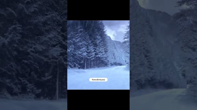 1736641721184686