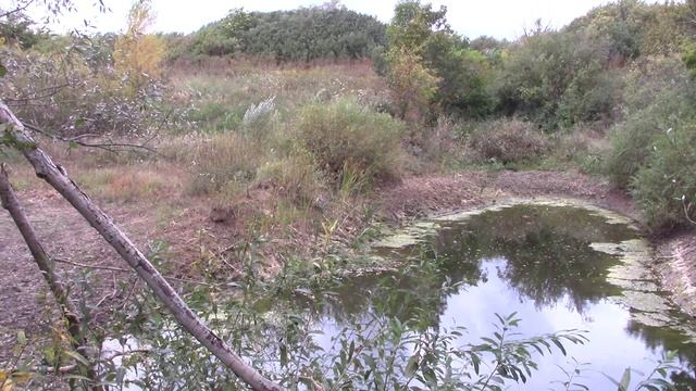 MVI_1204