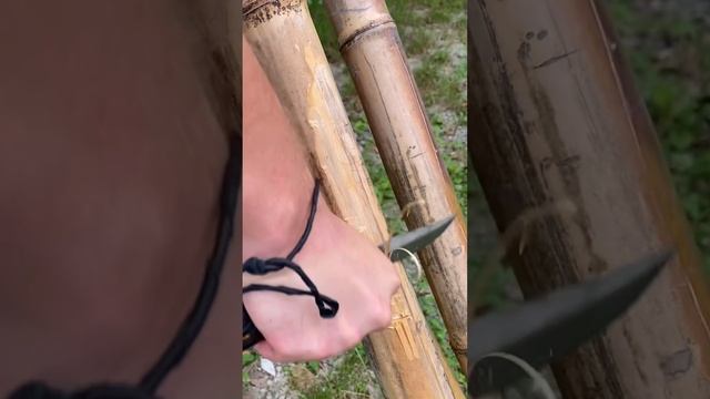 Размер — не главное 🍆