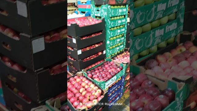 Поездка на Фудсити