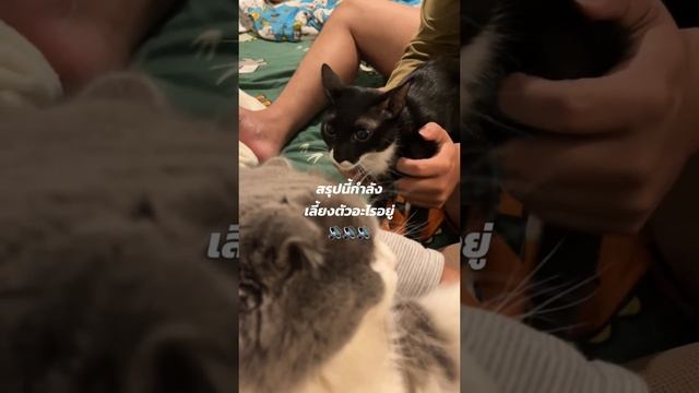 1000009529.mp4