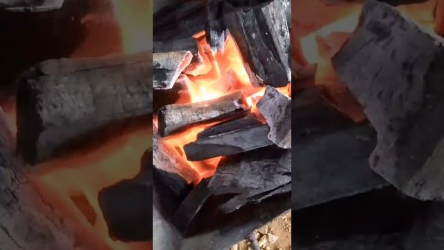 WOOD CHARCOAL FROM IVORY COAST