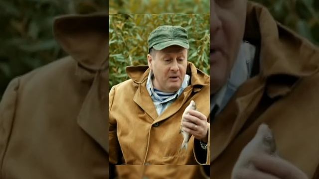 Золотая рыбка 😂