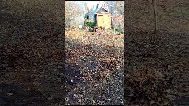 1000029476.mp4