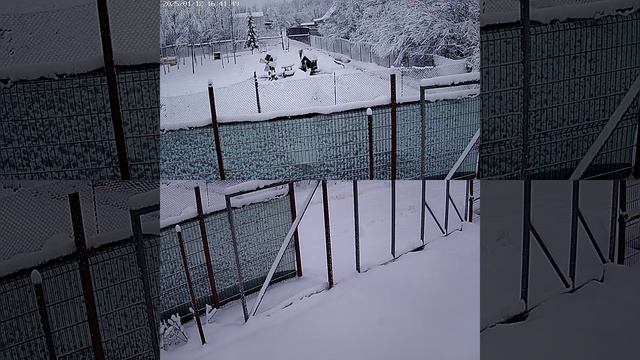 засыпало снегом Волхов