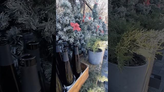 Новогодний Крым! Самая красивая локация в Кипарисном! Вино&Сыр
Свободно и бесплатно