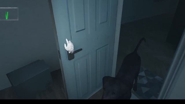 1000284156.mp4