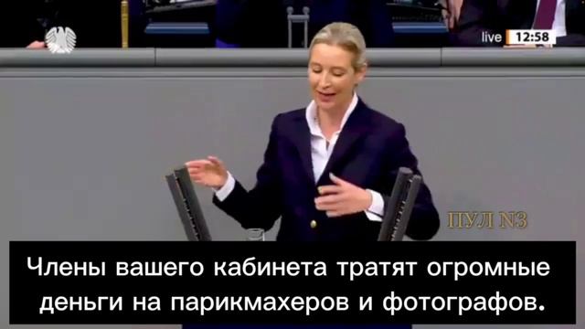 Партия «Альтернатива для Германии», в случае прихода к власти, перезапустит «Северный поток»