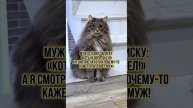Муж врет