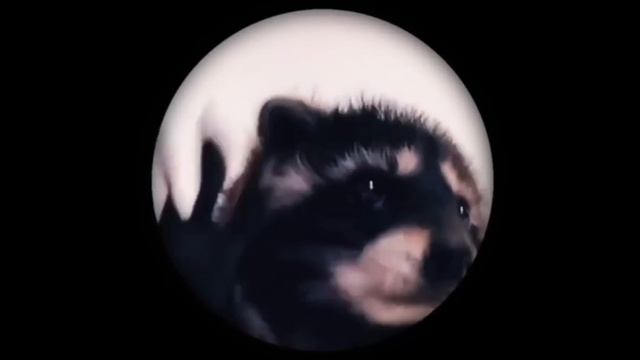 ЕНОТ