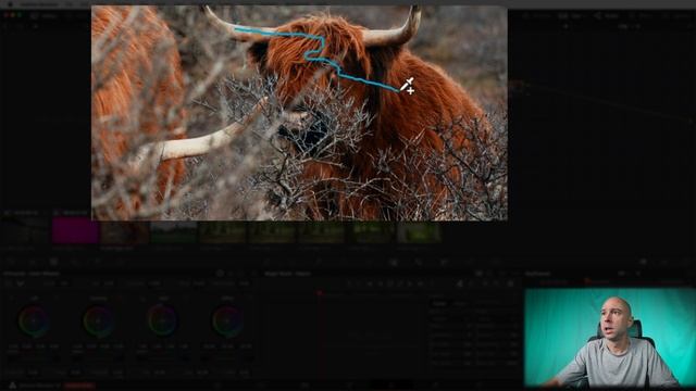 🤯  OBJECT MASK in DaVinci Resolve 18 is INSANE!     In-Depth Look including Real World Examples