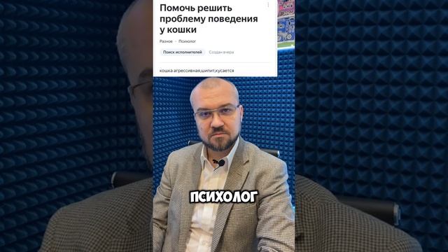 Психолог, помоги с кошкой  #психология #животные
