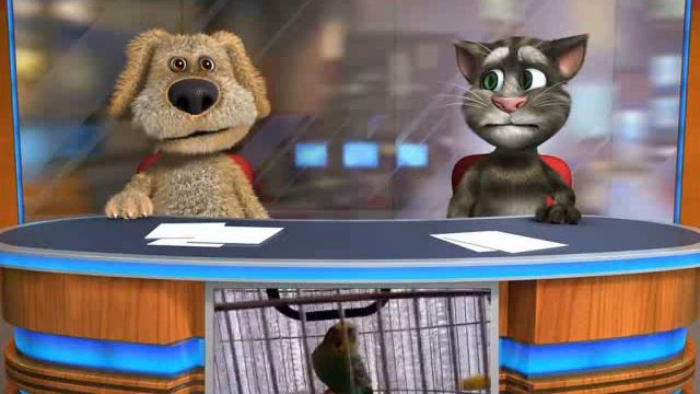 Тупой спор Тома и Бена