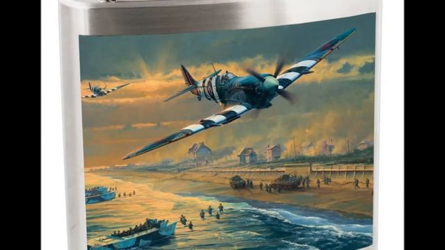 Aviation R.A.F Hip Flasks @ The Pocket Hip Flask Company