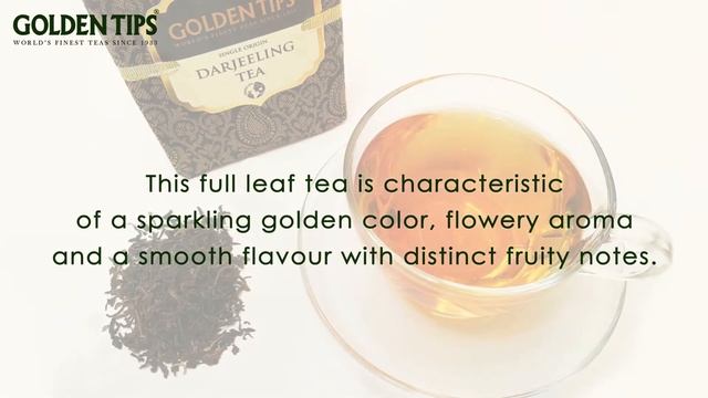 India's 100% Organic Darjeeling Tea | Darjeeling Tea Estate | Golden Tips Tea